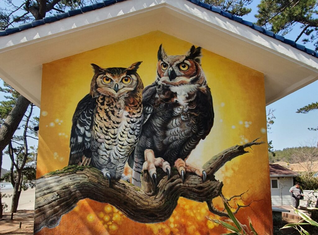 자은도 수리부엉이 벽화